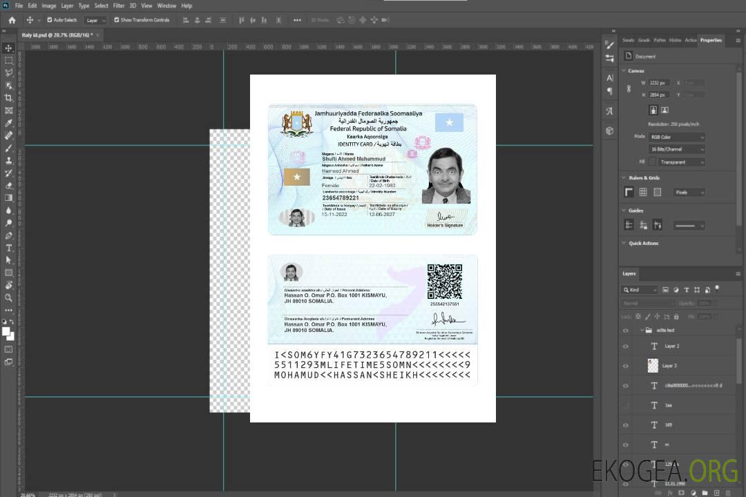 Carte d'identité de la Somalie 2022-présent template